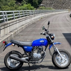 エイプ100 