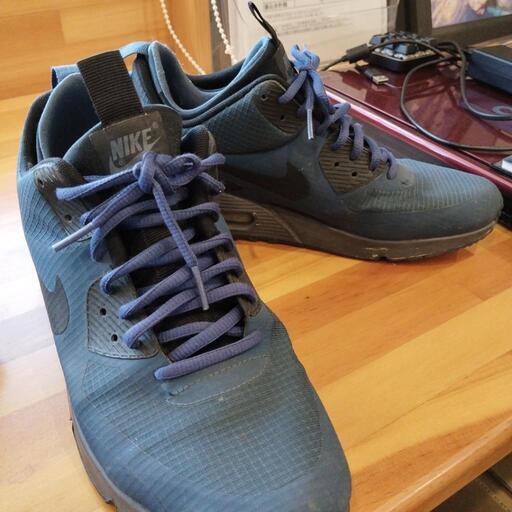 NIKE Air Max　レア紫 使用感あり サイズ27cm