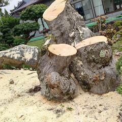 もみじの原木（玉切りと枝）