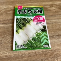 大根　種