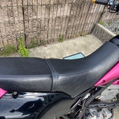 SB250/dトラッカー
の画像