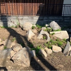 庭石いろいろの画像
