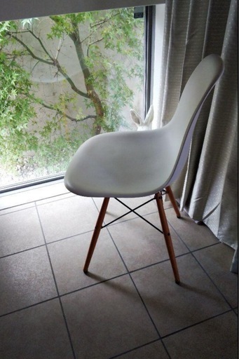 イームズDSW正規品