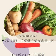 🍅農業ボランティア募集🍆 - 千葉市