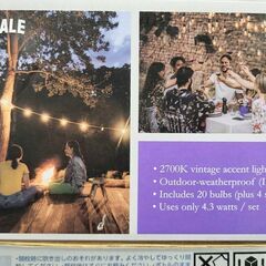 【店頭引き取り限定】NEWGALE ファイヤーフライ LED ストリングライト 12m 20球 屋外用の画像