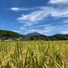 ［12俵限定]霧島産　令和6年新米　もみ　32kg