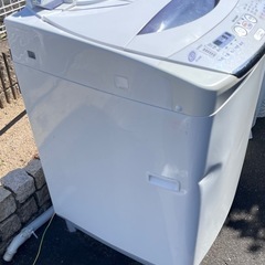 引き取り先決まりました。の画像