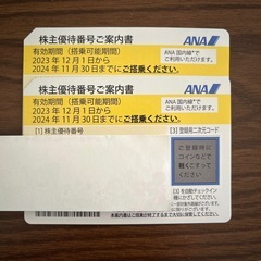 株主優待券 ana 2枚