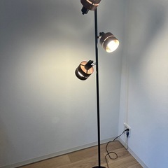 照明の画像