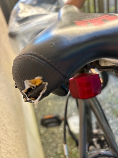 mongoose マウンテンバイク　26インチ