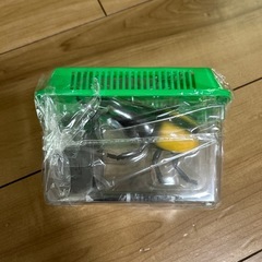 　ラジコン　カブトムシ　
