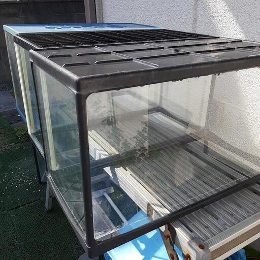 60cm 水槽　3個セット