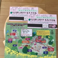 値下げ交渉可　ももクロのLive関連グッズの画像