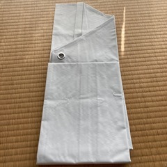 値下げしました⭐️女性用白衣の画像