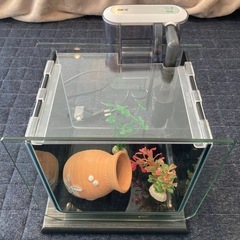 中古の小型水槽セット