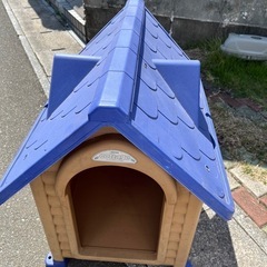 10月20日引取り希望　犬小屋