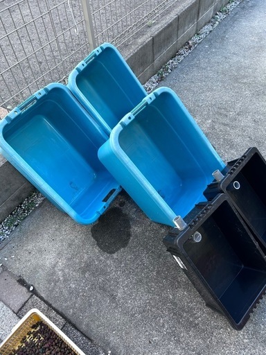 メダカ全部、飼育セット