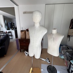トルソーの画像