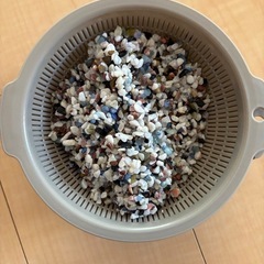 GEX金魚砂