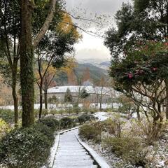 波動医学🌜️量子力学 − 長崎県