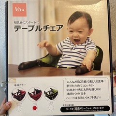 テーブルチェア　ヴィータ　