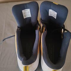 アシックス　バスケットシューズの画像