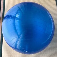 青 ジムボール 50-65cm