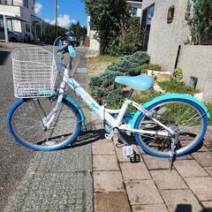 （申込多数のため一旦申込停止）20インチGRAPHIS (グラフィス) 子供用自転車 の画像