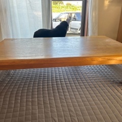 こたつ大型の画像