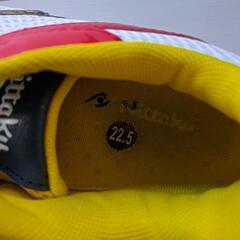 卓球シューズの画像