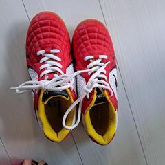 卓球シューズの画像