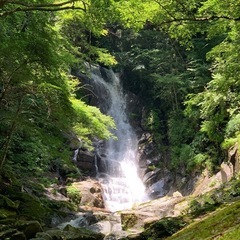 神奈川:丹沢山塊登山仲間募集⛰️ - 秦野市