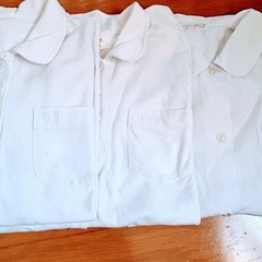 【決まりました 】3枚まとめて　ポロシャツ　ブラウスの画像