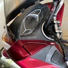 PCX81
