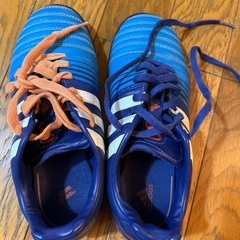 トレシュー　21センチ