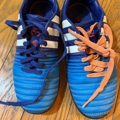 トレシュー　21センチの画像