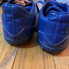 トレシュー　21センチの画像