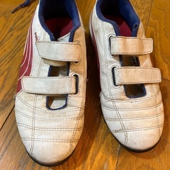 トレシュー　21センチ