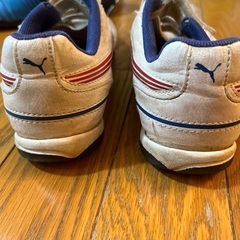 トレシュー　21センチの画像