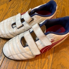 トレシュー　21センチの画像