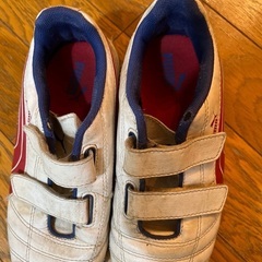 トレシュー　21センチの画像