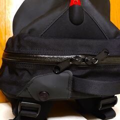 ARC’TERYX アークテリクス Arro22（アロー22）オッシュマンズ別注