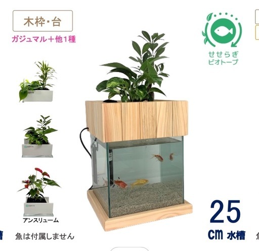 せせらぎビオトープ