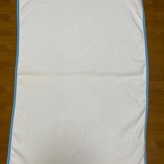 ドラえもん　85㎝× 115㎝の画像