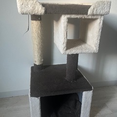 キャットタワー (18日まで)の画像