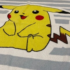 ポケモン　タオルケットの画像