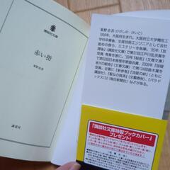 「赤い指」　東野圭吾　小説の画像