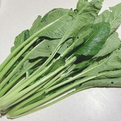 小松菜🥬