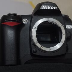 NIKON D70 　超極上品　★シャッター回数　76回★