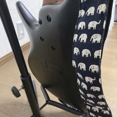 Ibanez SDGR ベース　ケース・ストライプ付きの画像